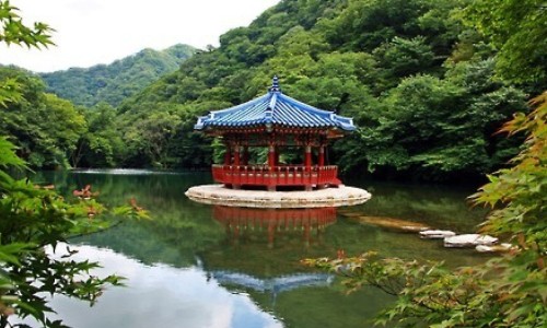 用药剂量、药用量tid -药用量0.25g是什么意思网